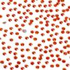 NCB 2880pcs Hotfix Rhinestones Flatback Crystal Rhinestones for Crafts Crafting Clothes Shoes DIY Decorations (Golden Sun, SS4 1.6mm) view 2