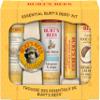 Burt's Bees Mothers Day Gifts Essential Beauty Set, 5 Travel Size - Deep Cleansing Cream, Hand Salve, Body Lotion, Foot Cream and Lip Balm, with 4 Flavored Lip Balms view 2