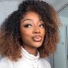 Highlight Brown Kinky Curly Bob Human Hair Wig Ombre Colored 1B/30 Afro Curly Short Bob Glueless HD Invisible 13X4 Lace Frontal Brazilian Remy Hair Wig with Bye Bye Knots Baby Hair 150 Density view 1