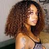 Highlight Brown Kinky Curly Bob Human Hair Wig Ombre Colored 1B/30 Afro Curly Short Bob Glueless HD Invisible 13X4 Lace Frontal Brazilian Remy Hair Wig with Bye Bye Knots Baby Hair 150 Density view 3