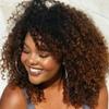 Highlight Brown Kinky Curly Bob Human Hair Wig Ombre Colored 1B/30 Afro Curly Short Bob Glueless HD Invisible 13X4 Lace Frontal Brazilian Remy Hair Wig with Bye Bye Knots Baby Hair 150 Density view 4