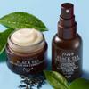 Fresh Black Tea Age-Delay Eye Concentrate Cream and Firming Tea Elixir Serum .5oz / 15mL view 4