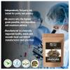 Blessfull Healing Organic Akarkara Powder 100% Pure Natural 100 Gram / 3.52 oz view 3