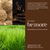 Ambiance by Talata Hand & Body Wash - Shea, Baobab & Aloe Infused - BE MORE (Madagascar Vertiver & Woods) view 4