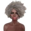 AJIEYMXS Short Curly Afro Wigs for Women,Afro Chemical Fiber Wig Synthetic Costume Hair Wig,Silver Gray Short Curly Wig for Women view 1