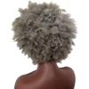 AJIEYMXS Short Curly Afro Wigs for Women,Afro Chemical Fiber Wig Synthetic Costume Hair Wig,Silver Gray Short Curly Wig for Women view 2