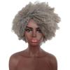 AJIEYMXS Short Curly Afro Wigs for Women,Afro Chemical Fiber Wig Synthetic Costume Hair Wig,Silver Gray Short Curly Wig for Women view 3