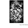FYRHLH 2 Pcs Full Arm Herbal Juice Temporary Tattoo Sticker Chest Large Dragon Tattoo Sticker Waterproof Long-Lasting Non-Reflective, 19x33cm view 3