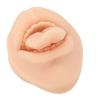 3D Simulation Silicone Tongue Mouth Model, Soft Reusable Practice Tool for Beginners, Tongue Piercing Jewelry Display, Silicone Tongue Study Body Practice Accessories view 3