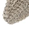 Ocean Wave Deep Wave Curly Braiding Hair Extensions 3 Packs (T18/56C, 30 Inches) view 3