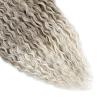Ocean Wave Deep Wave Curly Braiding Hair Extensions 3 Packs (T18/56C, 30 Inches) view 4