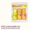 BioBrew Strengthening Serum, Concentrated Shampoo and Conditioner, Hair Care Mini Kit, Stregthening and Smoothing, Travel Kit view 3