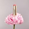 ICONIC LONDON Blurring Blush Stick | Seamless Blending, Matte Finish, Cruelty-Free, Vegan Makeup, Daiquiri (Pink) view 4