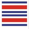 10pcs Flag Tattoo Stickers Face Flag Tattoo Of Iceland, Costa Rica, Morocco Flag Tattoo Sticker (Color : Style 2-028, Size : A) view 4