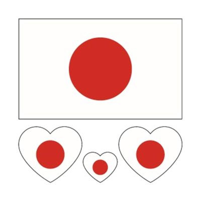 JCUIYyo 10Pcs/Set Waterproof Temporary Tattoo National Flag Regional Fake Tattoo Sticker Disposable Women Men Game Activities (Color : Japan, Size : A)