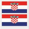 10pcs Flag Tattoo Stickers Face Flag Tattoo Of Iceland, Costa Rica, Morocco Flag Tattoo Sticker (Color : Style 1-047, Size : A) view 2