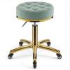 Hydraulic Rolling Salon Stool - Round Leather Cushion Beauty Chair with Gold Stainless Steel Base, 330 Lbs Load Capacity for Spa, Work Office, Massage, Nail, Tattoo - Lifting Wheel Included view 1