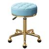 Mxsheng Round Stool Rolling Adjustable Stool on Wheels Medical Beauty Salon & Spa Swivel Chair with Hydraulic Rod and Gold 5 Claws (Color : Light Blue) view 1