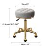Mxsheng Rolling Stool Swivel Salon Beauty Chair Medical Care Round Leather Cushion Bar Stool for Spa Work Office Massage Manicure Tattoo, Gold Chrome Frame (Color : Light Gray) view 2