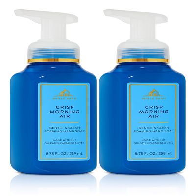 Bath and Body Works Gentle & Clean Foaming Hand Soap 8.75 Ounce 2-Pack (Crisp Morning Air)