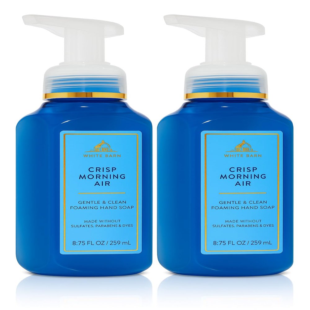 Bath and Body Works Gentle & Clean Foaming Hand Soap 8.75 Ounce 2-Pack (Crisp Morning Air)