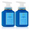 Bath and Body Works Gentle & Clean Foaming Hand Soap 8.75 Ounce 2-Pack (Crisp Morning Air) view 1