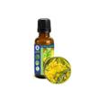 Cassie Sweet (Acacia Farnesiana) Absolute Essential Oil - Russian Mimosa (Mimoza) - Therapeutic, Pure, Undiluted, Uncut - Aromatherapy, Perfumery, Cosmetics, Skin Care, Massage - 30ml (1oz) view 1