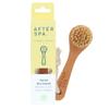 Dry Brushing Face Brush by Afterspa, Exfoliating Facial Brush, Gentle Face Scrubber, Vegan and Cruelty-Free, Pack of 12 (Facial, 1, Count) view 1