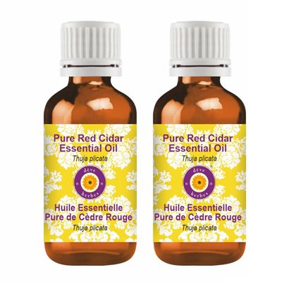 dve herbes Pure Red Cidar Essential Oil (Thuja plicata) Natural Therapeutic Grade Steam Distilled (Pack of Two) 100mlx2 (6.76 oz)