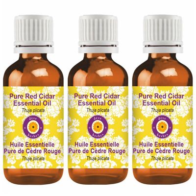 dve herbes Pure Red Cidar Essential Oil (Thuja plicata) Natural Therapeutic Grade Steam Distilled (Pack of Three) 100mlx3 (10 oz)