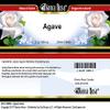 Bianca Rosa Agave Salve (2 oz, ZIN: 518889) - 3 Pack view 3