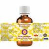 dve herbes Pure Red Cidar Essential Oil (Thuja plicata) Natural Therapeutic Grade Steam Distilled 300ml (10 oz) view 2