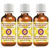dve herbes Pure Opoponax Essential Oil (Commiphora erythraea) Natural Therapeutic Grade Steam Distilled (Pack of Three) 100mlx3 (10 oz) view 1