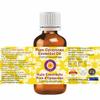 dve herbes Pure Opoponax Essential Oil (Commiphora erythraea) Natural Therapeutic Grade Steam Distilled (Pack of Three) 100mlx3 (10 oz) view 2