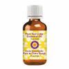 dve herbes Pure Red Cidar Essential Oil (Thuja plicata) Natural Therapeutic Grade Steam Distilled 50ml (1.69 oz) view 1