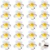 20Pcs 3.3 Inch Large White Foam Hawaiian Frangipani Artificial Plumeria Flower Hat Hair Clips for Home Bridal Wedding Tropical Party Beach Vacation Decoration view 1