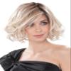 Belle of Hope Mara Ray Stella Moddix Collection Petite/Average Wavy HD Synthetic Wig Mono Part 4pc Bundle: 4oz luxury Shampoo, Comb and 19 page guide (Silk Grey Mix) view 1
