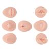 Ear Model, Simulation Easy To Operate Reusable Flexible Human Piercing Practice Model Silicone Nose Tongue Model for Piercers (Light Beige) view 2
