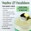 Beesaluxe Veggielene - 100% Natural, Vegan & Hypoallergenic Alternative to Petroleum Jelly - Unpetroleum - Lips, Hands, Baby, Makeup Remover and More (2 Ounce) view 2
