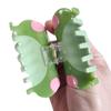 Cute Small Frog Hair Clips,Cellulose Acetate Hair Clips,Big Claw Clips for Girl,Hair Accessories view 4