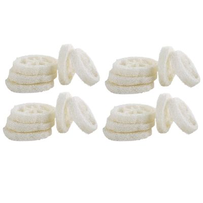 20pcs Natural Loofah Slices of 2in, Reusable Natural Loofah Cuts for Cleaner Sponge Scrubber, Facial Soap Holder and Handmade Loofah Soap Box Tools