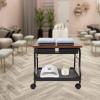 Beauty Salon Nail Foot Trolley, Bath Spa Portable Esthetician Cart, Pedicure Manicure Funiture, Rest Massage Supplies, Footcare Footrest Equipment for Parlors Medical Clinics Hair Salons (Coffee) view 3