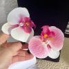 BEIYINAI 2pcs Elegant Hair Grips Orchids Flower Hair Clip Delicate Floral Hair Grip for Girls and Women Fashion Hair Accessories Wedding Hair Accessory view 4