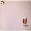 LAKMI BEAUTY ROSE CLOTH view 3
