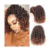 Ponytail Extension Short Afro Kinky Curly Ponytail Extension for Black Women, 12 Inch Puff Drawstring Curly Ponytail with 2 Clips, Synthetic Afro Drawstring Ponytail Pony Tails Hair Extensions(Color:2 view 2