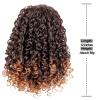 Ponytail Extension Short Afro Kinky Curly Ponytail Extension for Black Women, 12 Inch Puff Drawstring Curly Ponytail with 2 Clips, Synthetic Afro Drawstring Ponytail Pony Tails Hair Extensions(Color:2 view 4