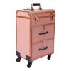 KWHXJ Aluminum Rolling Makeup Train Case, Portable Makeup Organizer Suitcase, Cosmetic Storage Box, Travel Beauty Luggage Trolley Lockable w/4 Removable Wheels & 2 Sliding Drawers (Gold) view 3