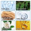 Fusang Mineral Powder Sunscreen for Face,Sunscreen Powder SPF 50 PA++++,Long Lasting Oil Control Scalp Sunscreen Powder,Breathable Brush On Sunscreen Powder for All Skin view 3