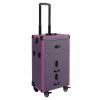 BAIODNB Rolling Case, Professional Makeup Train Case Rolling Makeup Case, Professional Cosmetology Trolley,Makeup Case with Lighted Mirror (Purple) view 1