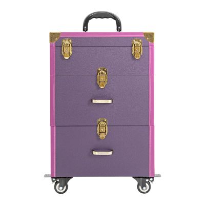 BAIODNB Professional Makeup Train Case, Rolling Makeup Case Professional Cosmetology Trolley, Makeup Case with Lighted Mirror